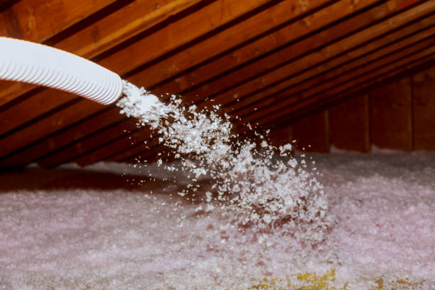 Best Specialized Insulation Services in Parkland, WA