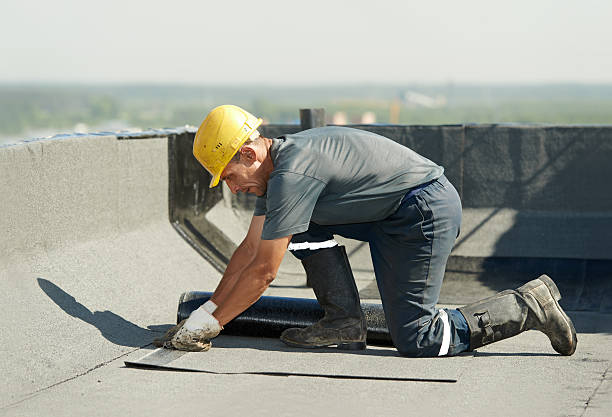 Best Spray Foam Insulation in Parkland, WA