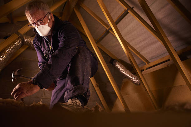 Best Spray Foam Insulation in Parkland, WA